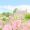 Trip to fairyland