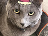 Kheku
