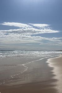 訪客用戶 大背包客旅館優惠
