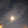 Chan0919