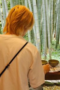 マコモ 東大門巔峰飯店優惠