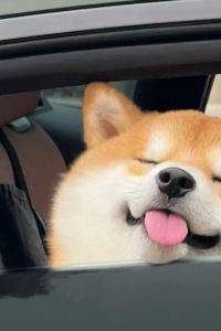 rlee 深圳你享酒店優惠