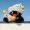 pinguzZ