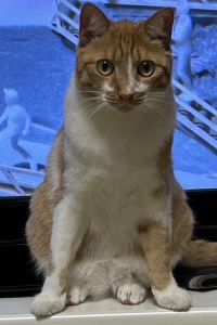 みるくすらいむ ホテル日南北郷リゾート クーポン