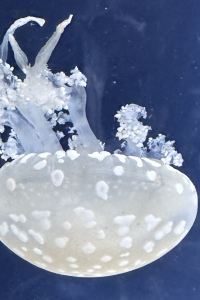 NatalieMa 유앤아이호텔 쿠폰