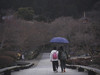 toeiiyoii