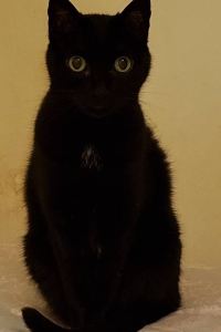 EddyJin01 新大阪心齋橋飯店優惠