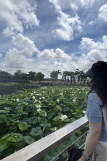 낭만정 T遺產酒店 （SHA Certified）優惠