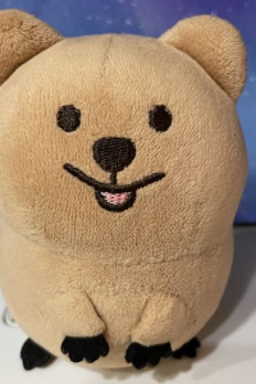 lisama1204 香港旺角維景酒店優惠