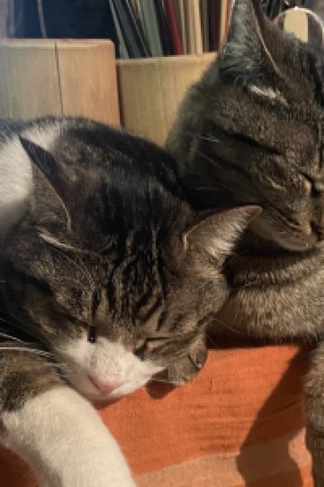 mugiazuki ゲストハウス海風 クーポン