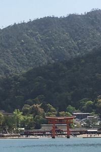 尹口君 瑞雅國際瓦雷羅豪華套房酒店優惠