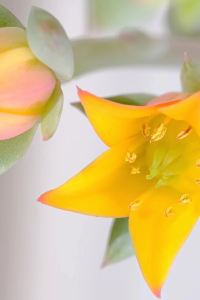 Chia-chi 樂盟飯店（北京南鑼鼓巷什剎海地鐵站店）優惠