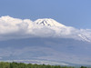 mikohana