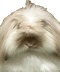 きくみつ ルートイングランティア秋田SPA RESORT クーポン