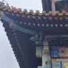 Avatar 1