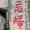风中纸莎草