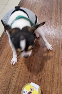 SiscaG LTC葛洛多克愜意飯店優惠