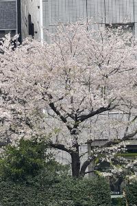 감자튀김 三交旅館-名古屋伏見優惠