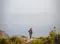 Alex_Feal