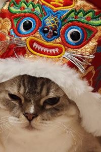 Adela❤️ 易思廷大飯店帕亞泰優惠