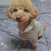 오아이우어