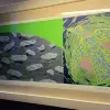 Avatar 3