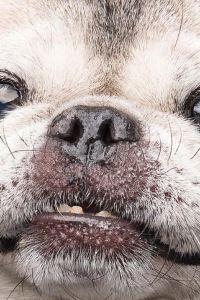 訪客用戶 美麗海露台公寓優惠