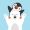 skymusic27