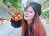 เที่ยวจนเมื่อย