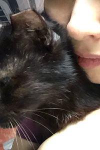 리뷰어 호텔 선샤인 서울 쿠폰