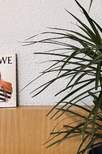 Shelleypc 世界飯店優惠