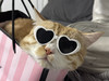 Paomeowsom