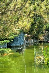 Thedark1231 聖何塞機場福朋喜來登飯店優惠