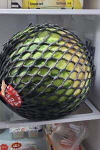 Ronwong 郡上ヴァカンス村ホテル クーポン