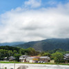 노운22