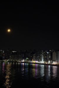 닌금