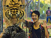 Travel tiger