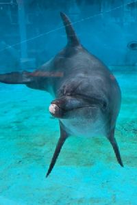 fenfen10 美麗加納之家壺川那霸優惠