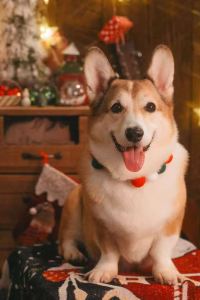 M&K1207 假日洞穴酒店優惠