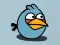 Angrybird11