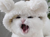 Jongsawas