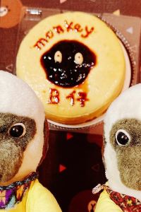 馬騮B四圍玩 肇慶喜來登酒店優惠