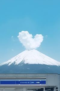 Thessaly Rain 首爾明洞朝鮮福朋喜來登酒店優惠