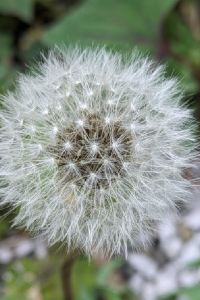 ぽぽはる 高雄蓮潭國際會館優惠