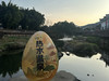 汶俊