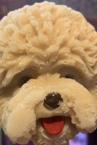 Laziness 捷絲旅（花蓮中正館）優惠