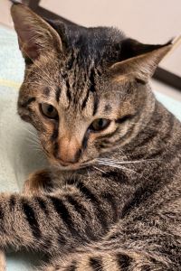 小芃 天藝商旅優惠