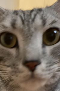 necowww 9布里克酒店優惠