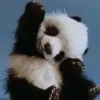 Avatar 1