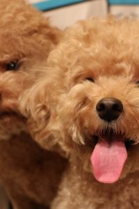 瘦削里奧 曼谷阿凱拉通羅酒店優惠